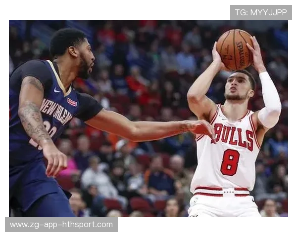 公牛队引援成功，重塑冠军梦想，公牛队官方网站